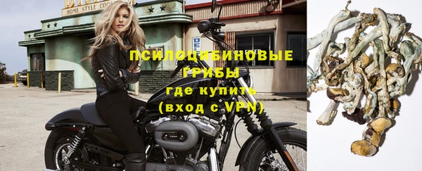 мяу мяу мука Заволжск