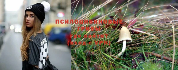 Альфа ПВП Дмитриев