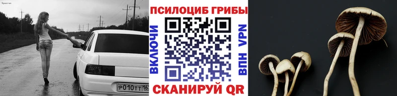 Псилоцибиновые грибы Psilocybe  MEGA маркетплейс  Кашин 